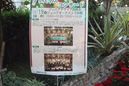 ジュニアオーケストラ浜松ジュニアクワイア浜松 フラワーパーク クリスマスコンサート