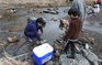 育てよう！～アマゴの里親募集～　稚魚放流会 開催レポート