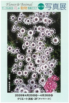 サークルBEE・花＆動物写真クラブ　第17回写真展