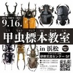 昆虫標本教室・化石発掘教室 in 浜松