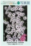 サークルBEE・花＆動物写真クラブ　第17回写真展