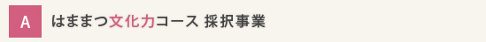 Aコース はままつ文化力コース 採択事業